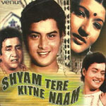 Shyam Baba Lyrics - Shyam Tere Kitne Naam